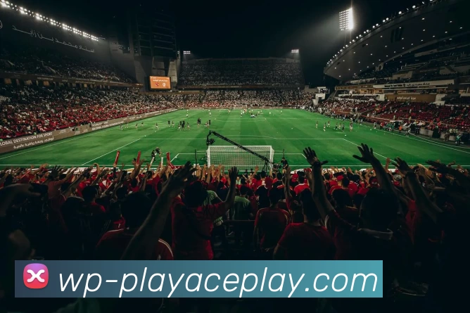 PLAYACE官网服务体系